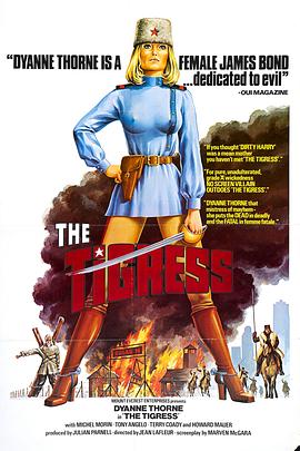 网站优化编辑推荐工具